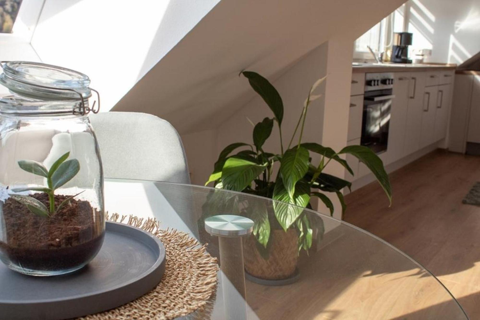 Ferienwohnung Kurz "Panoramablick" Wertheim Exteriér fotografie